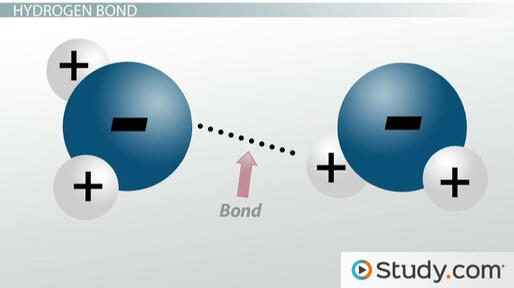 Figure 3.3 Hydrogen Bond