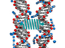 Figure 3.1 Intermolecular Forces