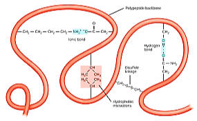 Figure 4.13 Tertiary