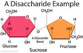 Figure 4.3 Disaccharides