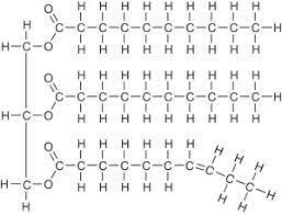 Figure 4.7 Triacylglycerol